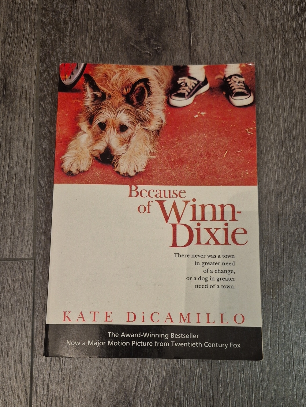 Because of Winn-Dixie by Kate Digamillo - Award Winning Vest Seller